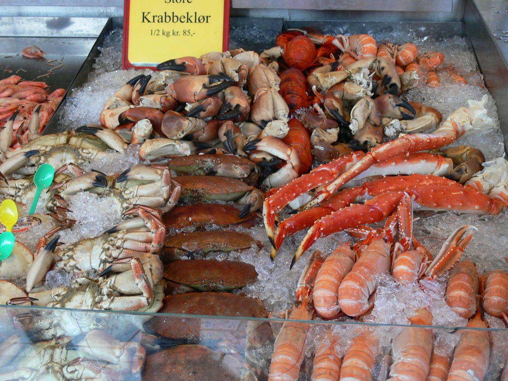 Studentský život 06